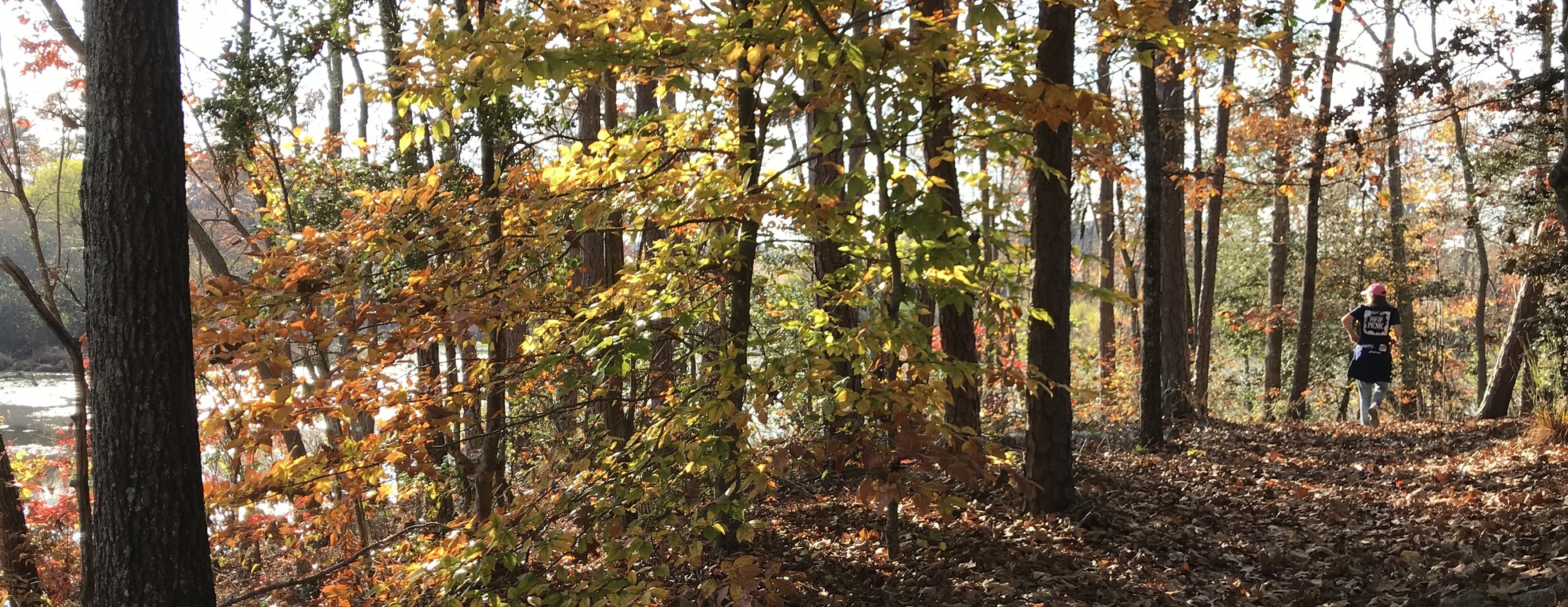 Public Hike: Murray's Mill Trail